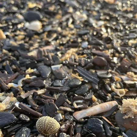 House For - Luxe Verblijf, 5 Min Het