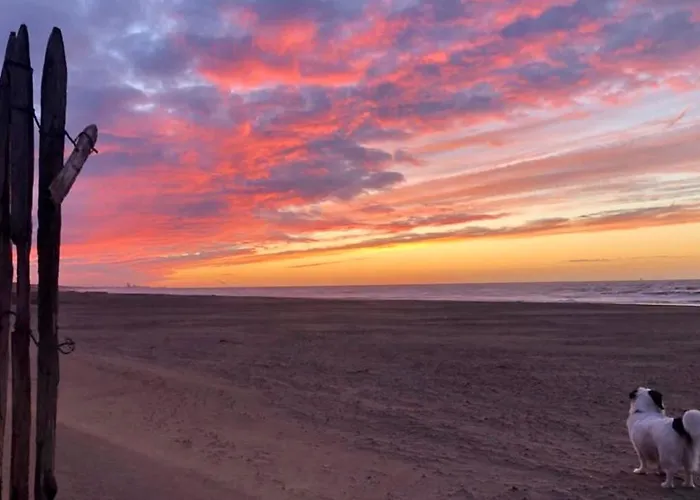 Дом отдыха House For - Luxe Verblijf, 5 Min Het