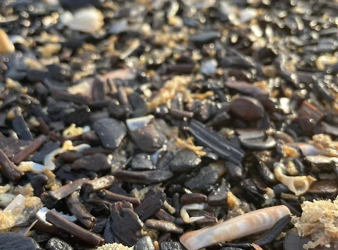 House For - Luxe Verblijf, 5 Min Het